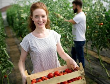 autour de l'agriculture