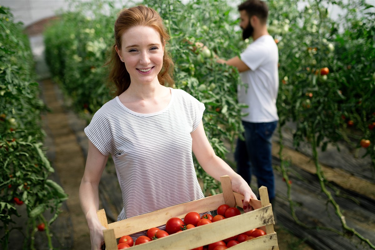 autour de l'agriculture